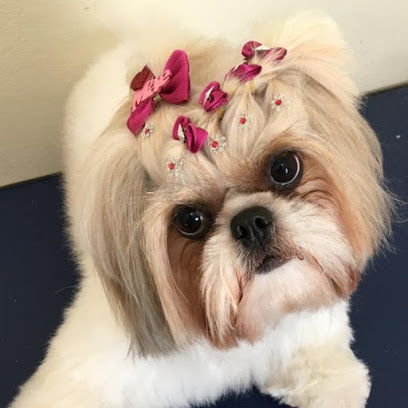CLÍNICA VETERINÁRIA MELPET 24 HORAS em Campinas - SP