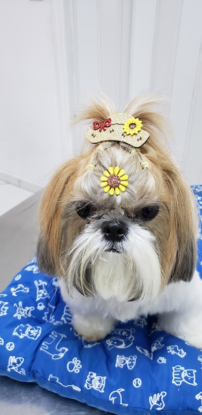 Clínica Veterinária Miranda em Sorocaba - SP