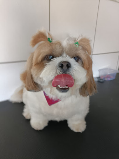 Clínica Veterinária Mundo Bicho em Curitiba - PR