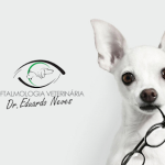 Imagem ilustrativa da empresa Clínica Veterinária Neo Vet Especializada em Oftalmologia de Câes e Gatos em Campinas - SP