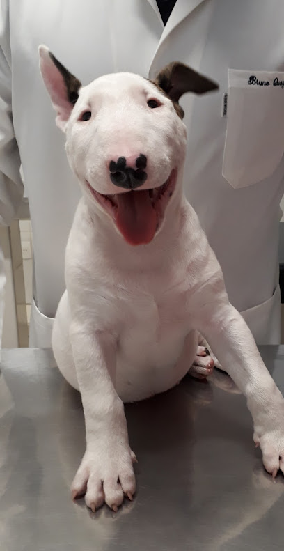 Clínica Veterinária Nova Europa em Campinas - SP