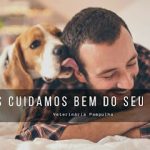 Imagem ilustrativa da empresa Clínica Veterinária Pampulha em Belo Horizonte - MG
