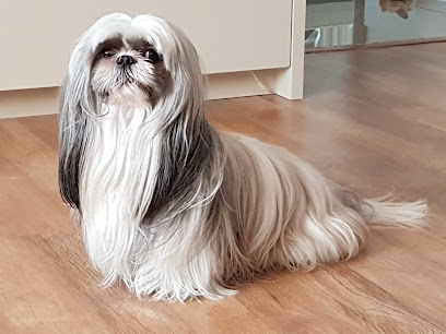 Clínica Veterinária Paulista em São Paulo - SP