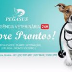 Imagem ilustrativa da empresa Clínica Veterinária Pegasus em Goiânia - GO