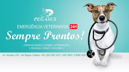 Clínica Veterinária Pegasus em Goiânia - GO