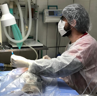 Imagem ilustrativa da empresa Clínica Veterinária Pet Móvel POA em Porto Alegre - RS
