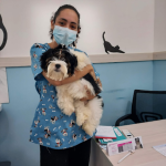 Imagem ilustrativa da empresa Clínica Veterinária Pets Dent - Cohatrac em São Luís - MA