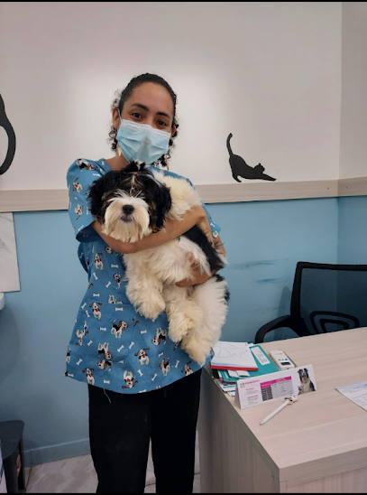 Imagem ilustrativa da empresa Clínica Veterinária Pets Dent - Cohatrac em São Luís - MA