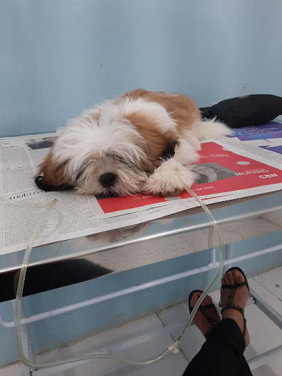 Clínica Veterinária & Petshop Apaixonados Por Quatro Patas - Unidade Santa Cruz da Serra em Duque de Caxias - RJ