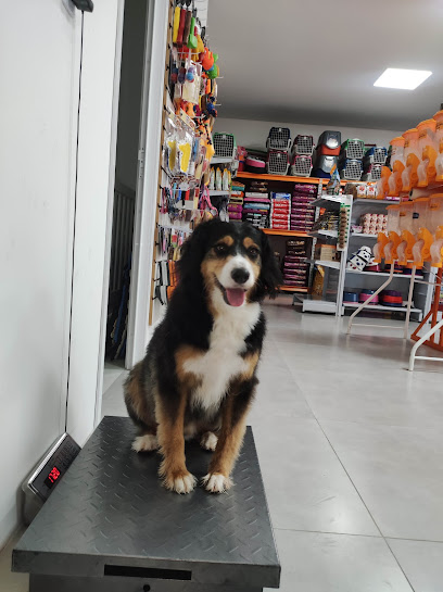 Imagem ilustrativa da empresa Clínica veterinária & PetShop Dr.Holland em Porto Alegre - RS