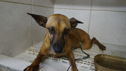 Clínica Veterinária Plutão em Goiânia - GO