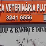 Imagem ilustrativa da empresa Clínica Veterinária Pluto - Atendimento 24h em Goiânia - GO