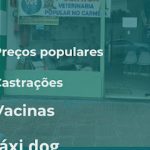 Imagem ilustrativa da empresa Clínica veterinária popular VET FREITAS em Guarulhos - SP