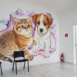 Imagem ilustrativa da empresa Clínica Veterinária Popular Vidas - 24 Horas em São Paulo - SP