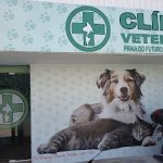 Imagem ilustrativa da empresa Clínica Veterinária Praia do Futuro em Fortaleza - CE