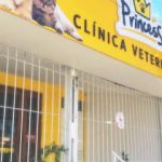 Imagem ilustrativa da empresa Clínica Veterinária Princess e Pet Shop em Maceió - AL