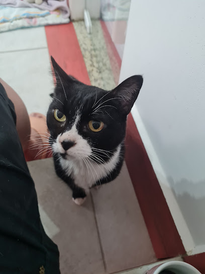 Clínica Veterinária Proença em Campinas - SP