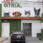 Imagem ilustrativa da empresa Clínica Veterinária Ricardo Jafet - PETatria em São Paulo - SP