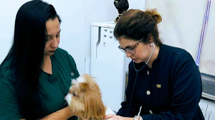 Clínica Veterinária Rua das Rosas em São Paulo - SP