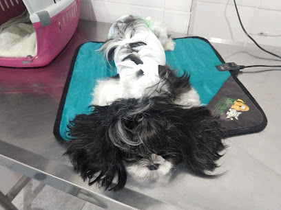 Clínica Veterinária São Caetano em Salvador - BA