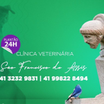Imagem ilustrativa da empresa Clínica Veterinária São Francisco de Assis em Curitiba - PR