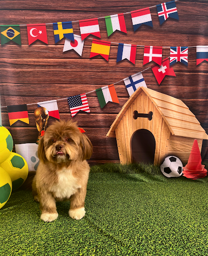 Clínica Veterinária São Francisco em Campo Grande - MS