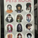 Imagem ilustrativa da empresa Clínica Veterinária São Geraldo Ltda - 24H em Belo Horizonte - MG