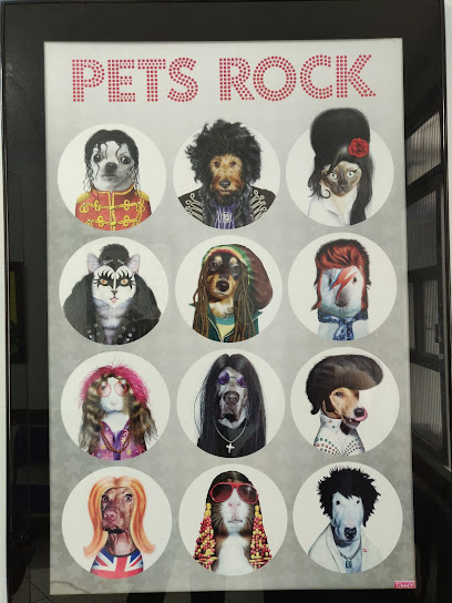 Imagem ilustrativa da empresa Clínica Veterinária São Geraldo Ltda - 24H em Belo Horizonte - MG