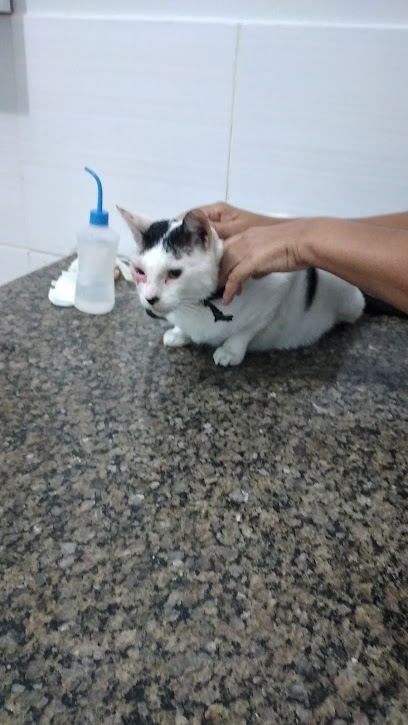 Clínica Veterinária São Lázaro em Maceió - AL
