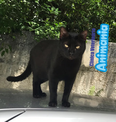Clínica Veterinária Sou + Pet Mania em Duque de Caxias - RJ