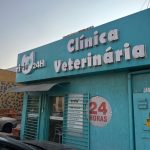 Imagem ilustrativa da empresa Clínica Veterinária Titiu Goiânia em Goiânia - GO