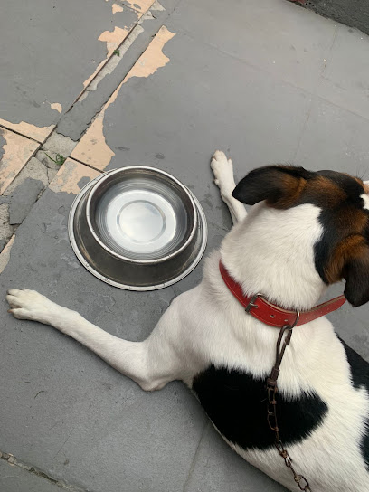 Clínica Veterinária Tododoy em Belford Roxo - RJ