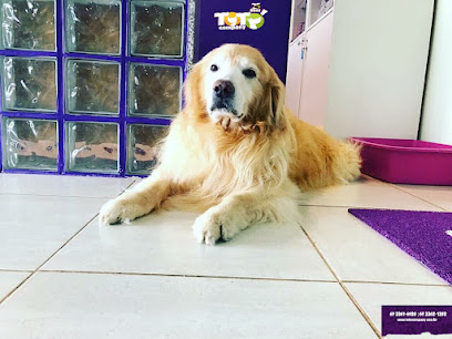 Clínica Veterinária - Totó Company em Campo Grande - MS