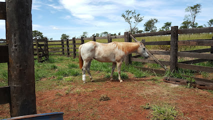 Clínica Veterinária Uniderp Agrárias em Campo Grande - MS
