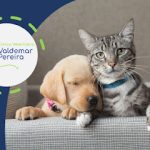 Imagem ilustrativa da empresa Clínica Veterinária Valdemar Pereira em São Paulo - SP