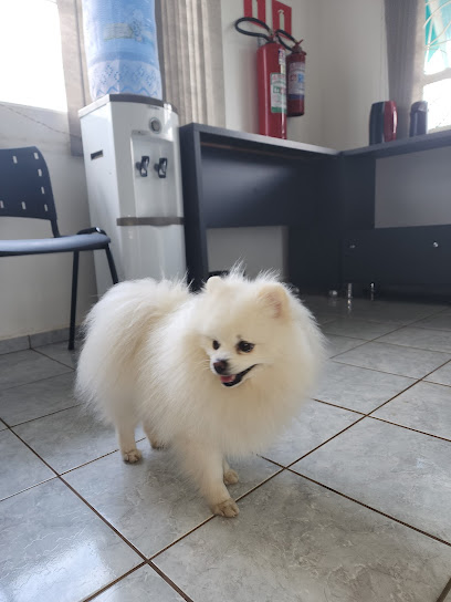 Clínica veterinária Vem Pet em Campo Grande - MS