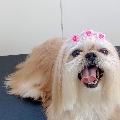 Clínica Veterinária Vet Family - Bom Clima em Guarulhos - SP