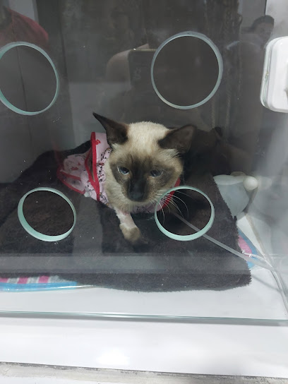 Clínica Veterinária Vet Ilha em Rio de Janeiro - RJ