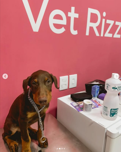 Clínica Veterinária | Vet Rizzo | Campo Grande MS em Campo Grande - MS