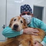 Imagem ilustrativa da empresa Clínica Veterinária VetMaster em Belo Horizonte - MG