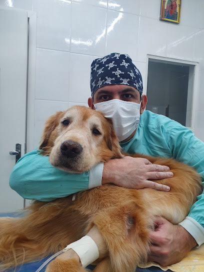 Imagem ilustrativa da empresa Clínica Veterinária VetMaster em Belo Horizonte - MG