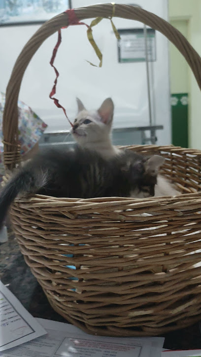 Clínica Veterinária VetPrime Dr. Eduardo Melo em Recife - PE