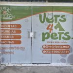 Imagem ilustrativa da empresa CLÍNICA VETERINÁRIA VETS4PETS em Maceió - AL