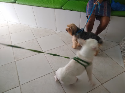 Clínica Veterinária Vital Vet - Consulta / Vacinação / Exames / Internamento diurno em Salvador - BA