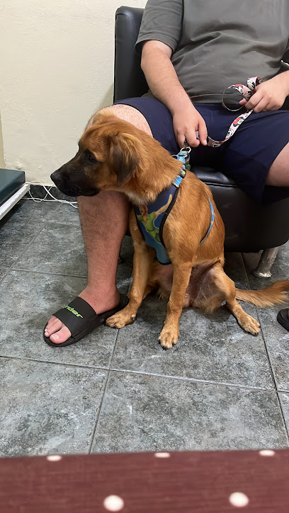 Clínica Veterinária Zello em Campinas - SP