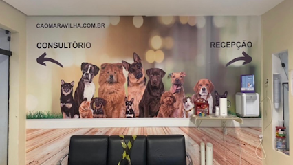 Clínica Veterinária zona norte de São Paulo - Cão Maravilha em São Paulo - SP