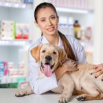 Imagem ilustrativa da empresa Clínica Veterinário Popular - Elenco em Guarulhos - SP