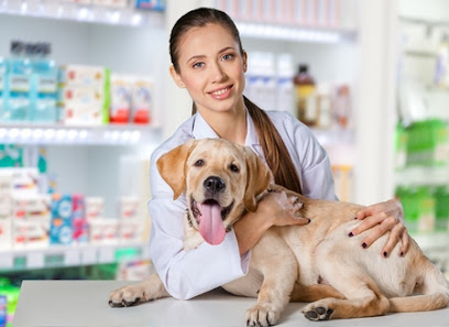 Clínica Veterinário Popular - Elenco em Guarulhos - SP