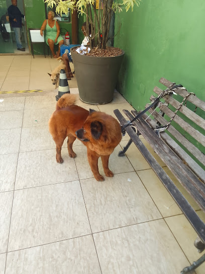 Clínica Vidanimal - Veterinário em Salvador - BA