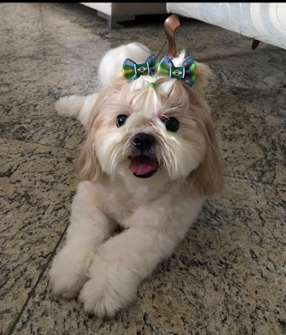 Clinvetam - Veterinário em Belém - PA